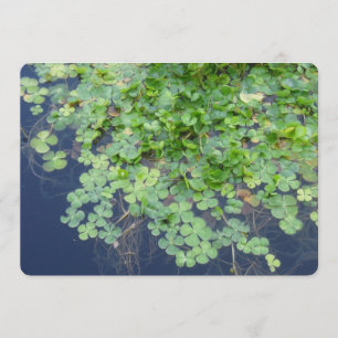 Irish Spring Clover Hochzeit Einladung