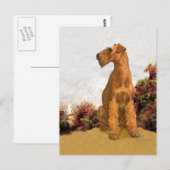Irish Terrier an der Meeresküste Postkarte (Vorne/Hinten)