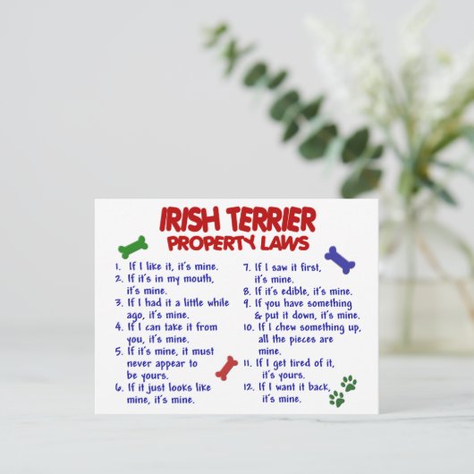 IRISH TERRIER-Eigentumsgesetze 2 Postkarte (Stehend Vorderseite)