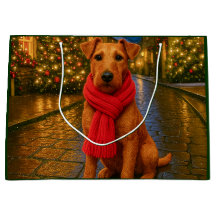 Irish Terrier Ferien 