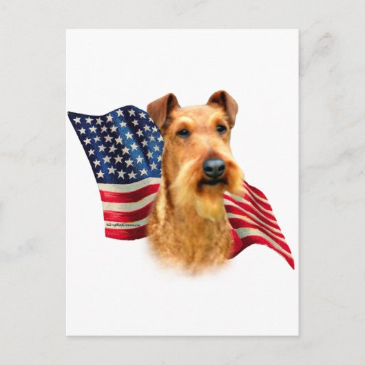 Irish Terrier Flag Postkarte (Vorderseite)