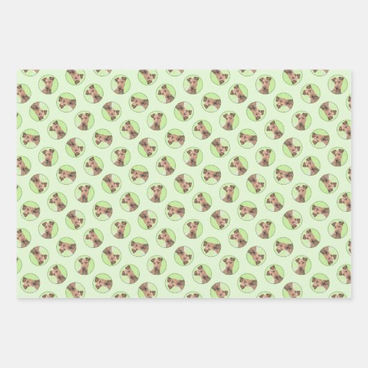 Irish Terrier Geschenkpapier Set (Vorderseite)