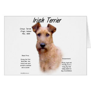 Irish Terrier History Design