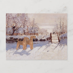Irish Terrier im Winter Postkarte