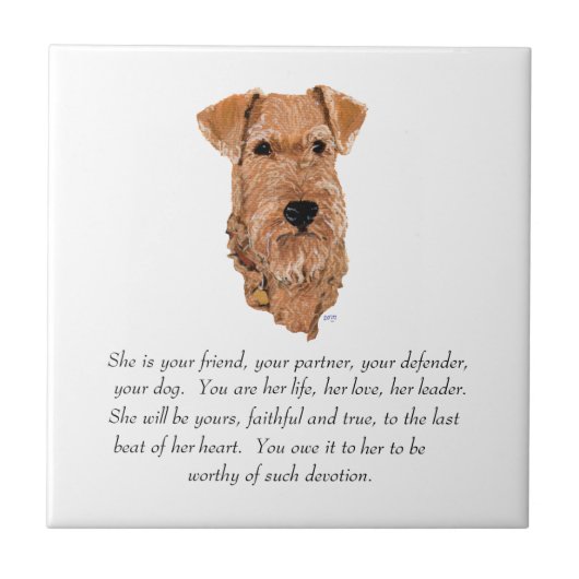 Irish Terrier Keepake - Female Fliese (Vorderseite)