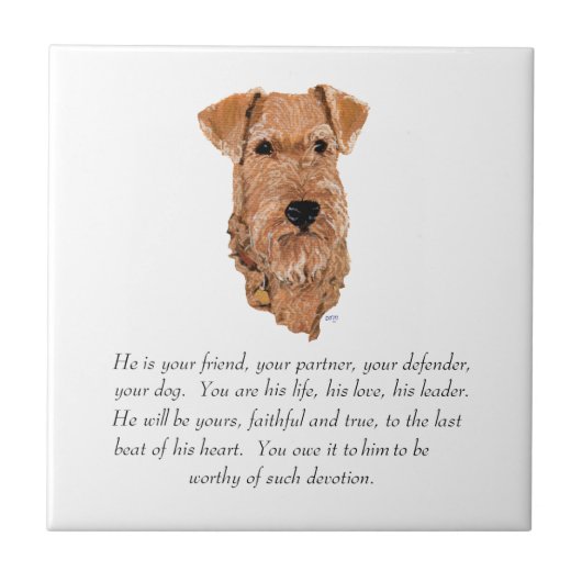 Irish Terrier Keepake - Männlich Fliese (Vorderseite)