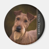 Irish Terrier Magnet (Vorne)