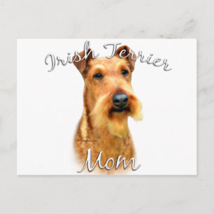 Irish Terrier Mama 2 Postkarte