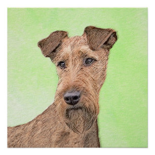 Irish Terrier Painting - Niedliche Original Dog Ar Poster