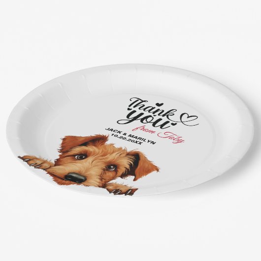 Irish Terrier Pappteller (Schrägansicht)