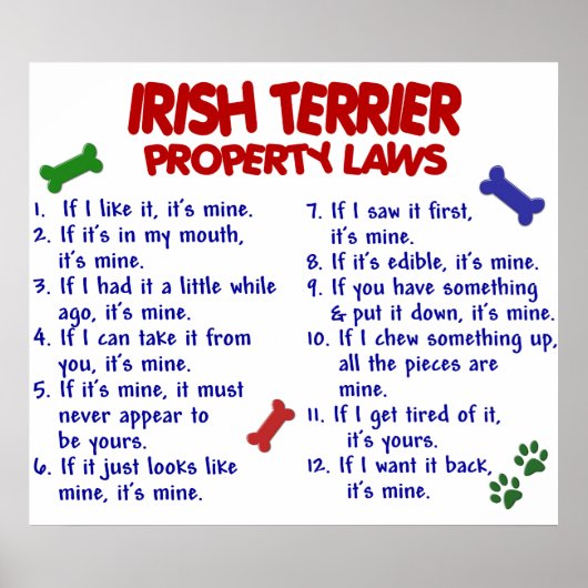 IRISH TERRIER PL2 POSTER (Vorne)