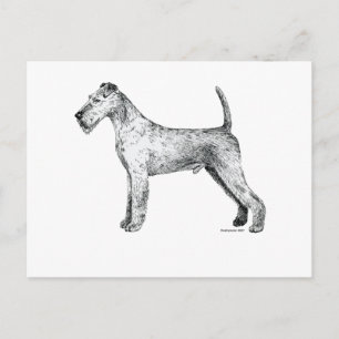 Irish Terrier Postkarte