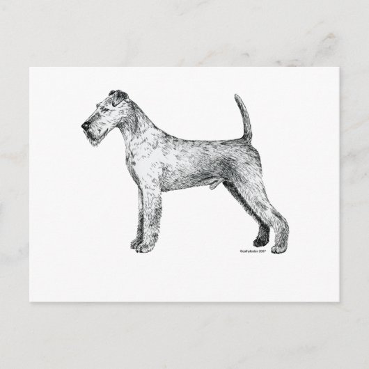 Irish Terrier Postkarte (Vorderseite)