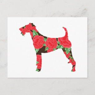 Irish Terrier Postkarte