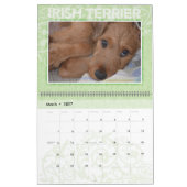 Irish Terrier Puppies 2020 Wall Calendar Kalender (Mär 2027)