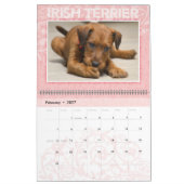 Irish Terrier Puppies 2020 Wall Calendar Kalender (Feb 2027)