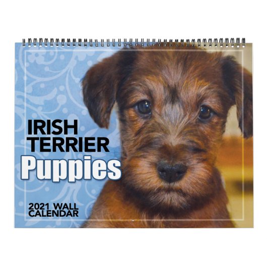 Irish Terrier Puppies 2021 Wall Calendar Kalender (Titelbild)