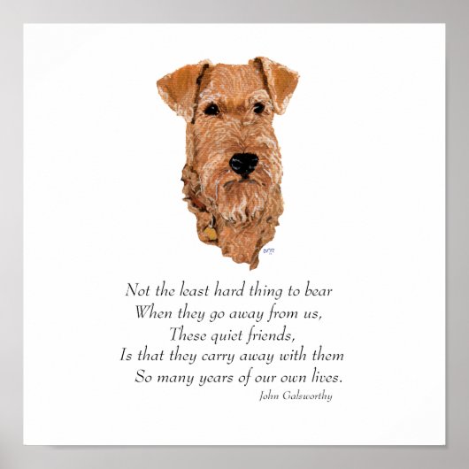 Irish Terrier Rainbow Bridge Poster (Vorne)