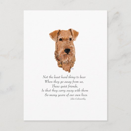 Irish Terrier Rainbow Bridge Postkarte (Vorderseite)