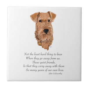 Irish Terrier Regenbogenbrücke Fliese