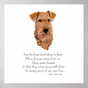 Irish-Terrier-Regenbogenbrücke Poster