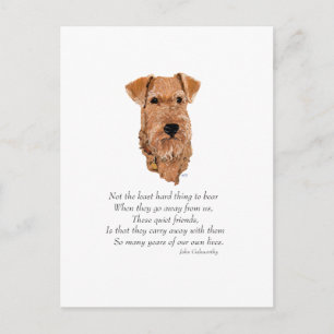 Irish Terrier Regenbogenbrücke Postkarte
