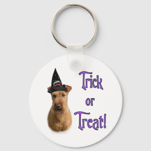 Irish Terrier Trick Schlüsselanhänger