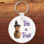 Irish Terrier Trick Schlüsselanhänger (Vorderseite)