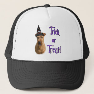 Irish Terrier Trick Truckerkappe