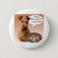 Irish Terrier Türkei