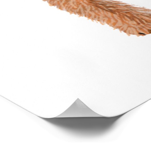 Irish Terrier Valentine Poster (Ecke)