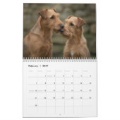 Irish-Terrier-Wandkalender 2027 Kalender (Feb 2027)