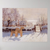 Irish Terriers im Winter Poster (Vorne)