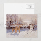 Irish Terriers im Winter Postkarte (Vorne/Hinten)
