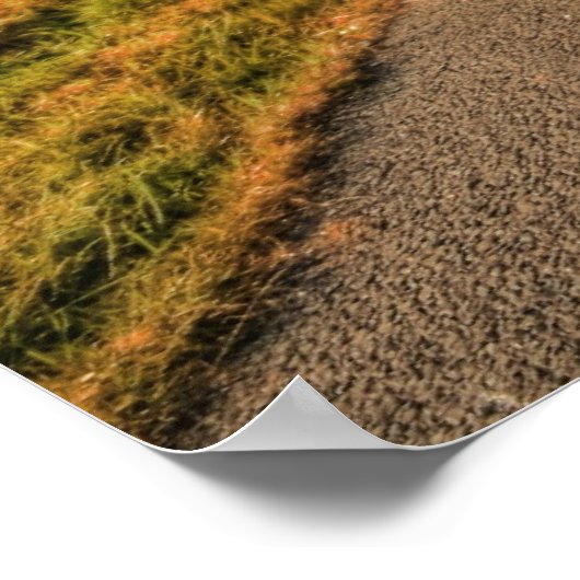 Irish Thatched Hütten Poster (Ecke)