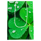 Irish Viel Glück Four-Leaf-Clovers Mittlere Geschenktüte (Rückseite)