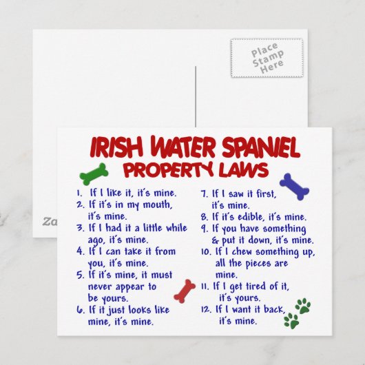 IRISH WASSER SPANIEL Eigentumsgesetze 2 Postkarte (Vorne/Hinten)