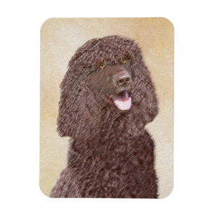 Irish Water Spanel Painting - Original Dog Art Magnet