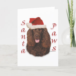 Irish Water Spanel Santa Paws Feiertagskarte