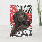 Irish Water Spanel Welppy Valentine Card Dankeskarte (Vorderseite)