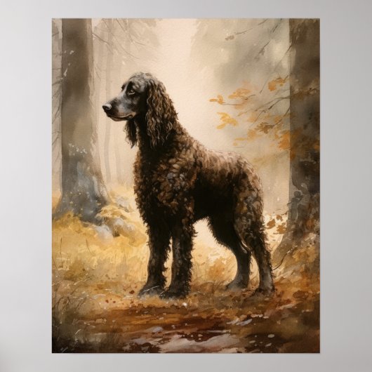 Irish Water Spaniel Dog Art Print Poster (Vorne)