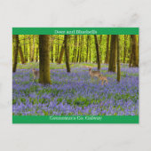 Irish Wildlife Postkarte (Vorderseite)