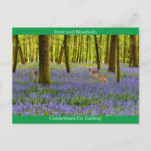 Irish Wildlife Postkarte (Vorderseite)