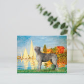 Irish Wolfhound 2 - Segelboote 2 Postkarte (Stehend Vorderseite)