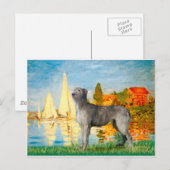 Irish Wolfhound 2 - Segelboote 2 Postkarte (Vorne/Hinten)
