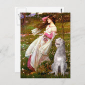 Irish Wolfhound 6 - Windblumen Postkarte (Vorne/Hinten)