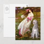 Irish Wolfhound 6 - Windflowers Postkarte (Vorne/Hinten)