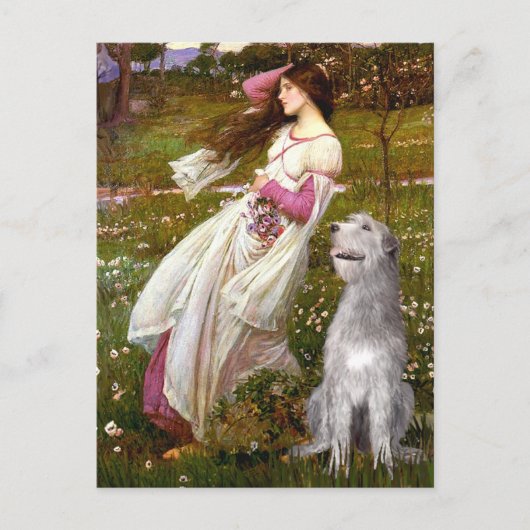 Irish Wolfhound 6 - Windflowers Postkarte (Vorderseite)