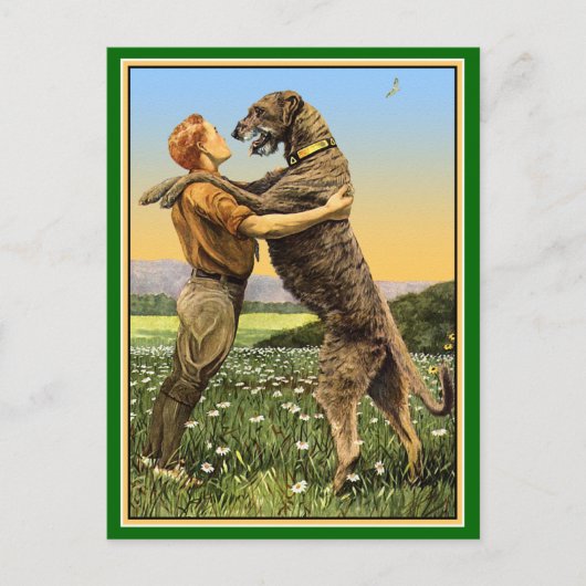 "Irish Wolfhound Begrüßung" Postkarte (Vorderseite)