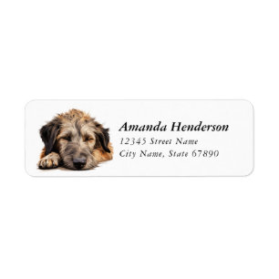 Irish Wolfhound Dog Rücksendeadressen-Aufkleber